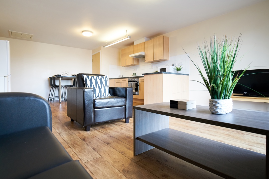 Rockingham House Sheffield Shared Flat Living Area