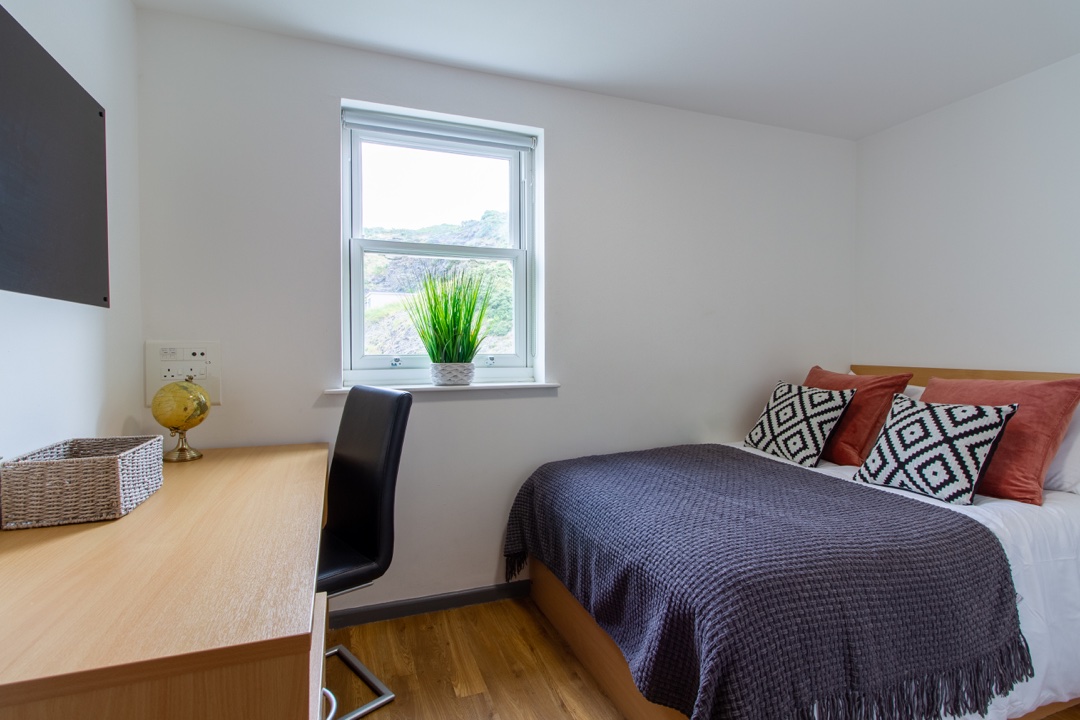 Alexandra Hall Aberystwyth Silver Single Room With View Bedroom 2