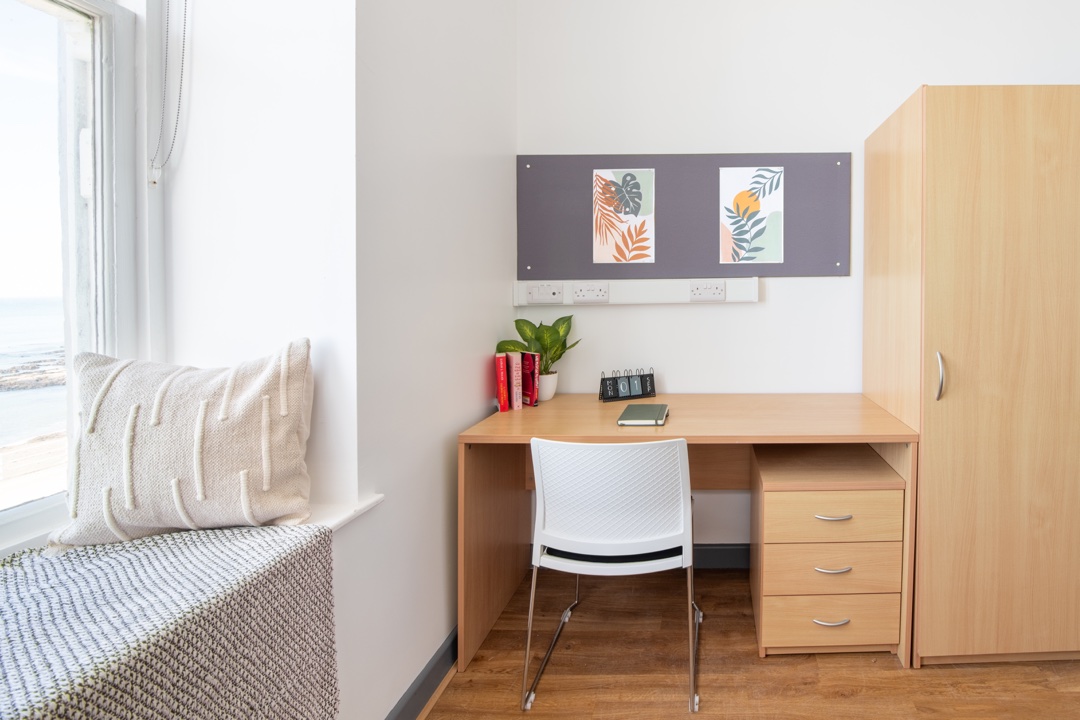 Alexandra Hall Aberystwyth Bronze Double Room With View Desk