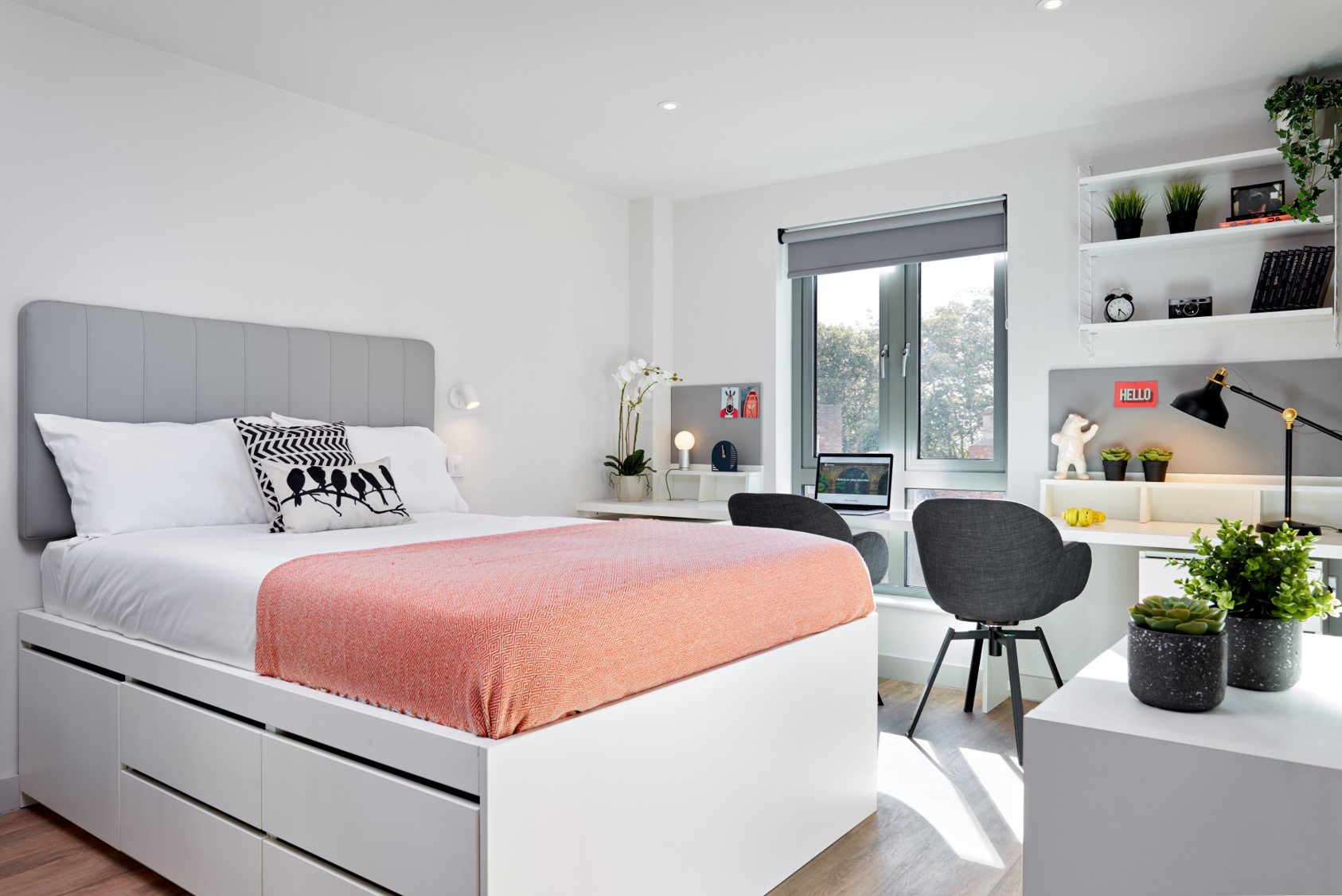 Student Castle Durham Hardy Studio Bedroom