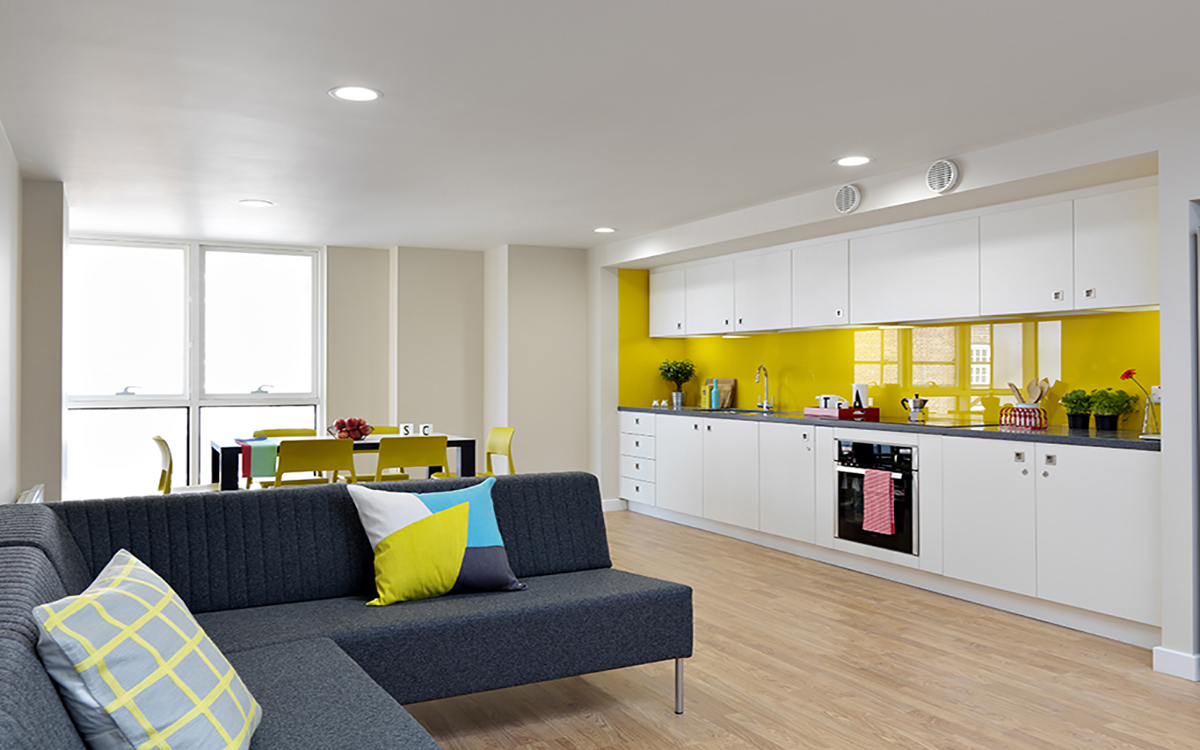 Shared Kitchen & Living Area