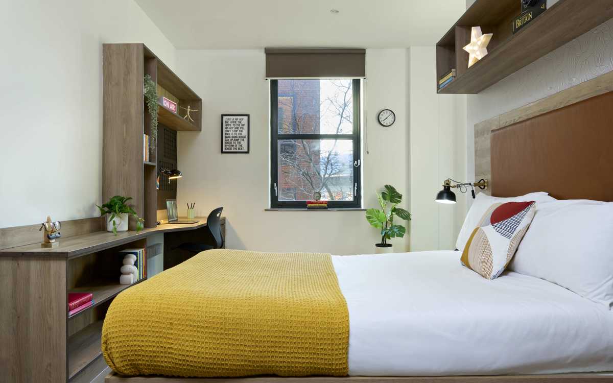 student castle reading gold studio bed